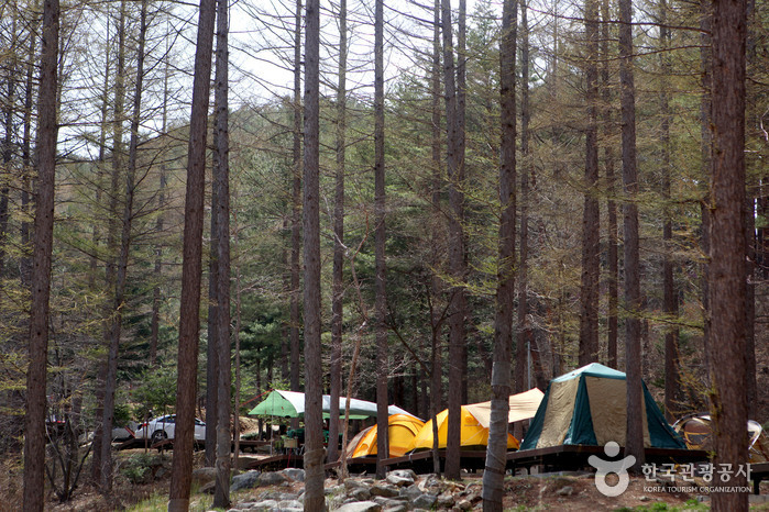 Erholungswald Cheongoksan (국립 청옥산자연휴양림) Erholungswald Cheongoksan (국립 청옥산자연휴양림)