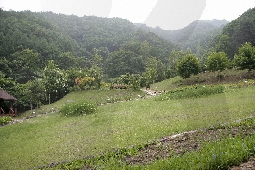 Erholungswald Chiaksan (치악산자연휴양림) Erholungswald Chiaksan (치악산자연휴양림)