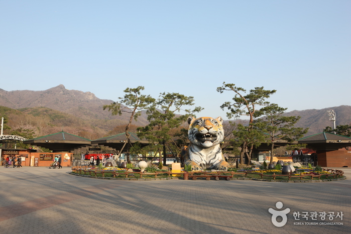 Seoul Grand Park (서울대공원) Seoul Grand Park (서울대공원)