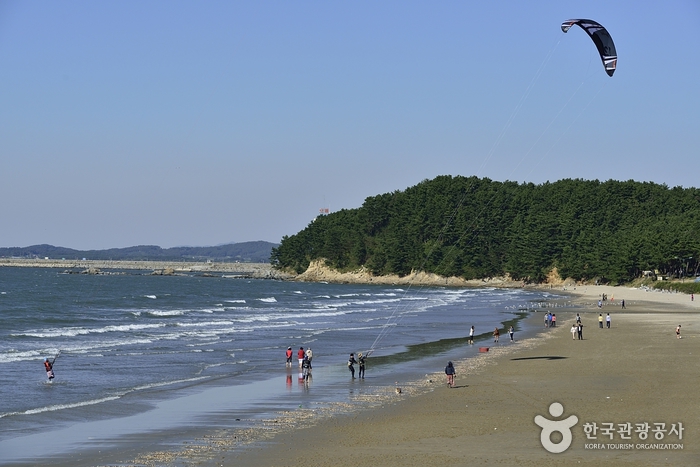 Strand Chunjangdae (춘장대해수욕장)
