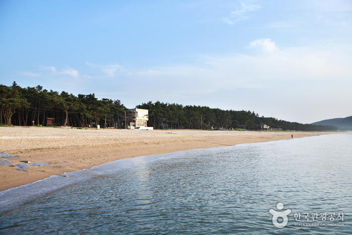 Strand Gosapo (고사포해변) Strand Gosapo (고사포해변)