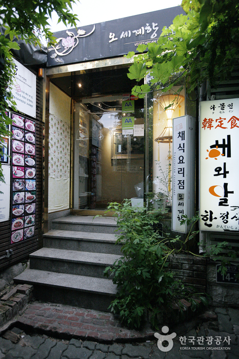 Vegetarian Restaurant Osegyehyang (채식요리전문점 오세계향)