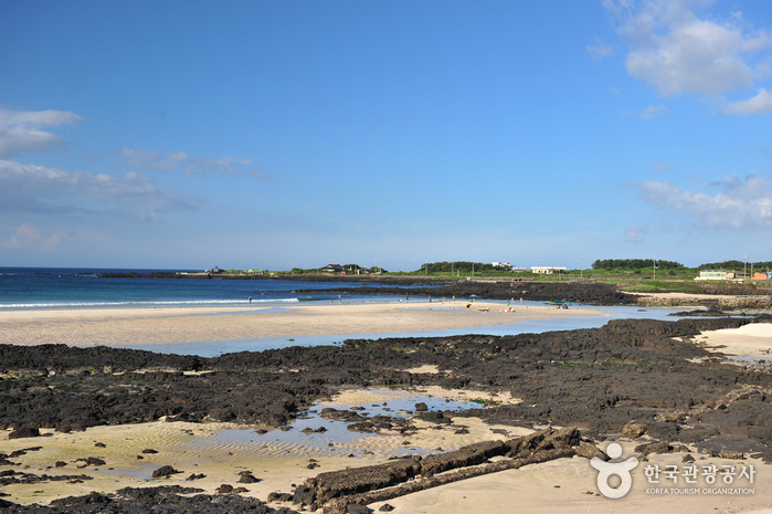 Strand Sehwa (세화해변)