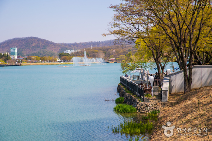 寿城池遊園地(수성못 유원지) 寿城池遊園地(수성못 유원지)