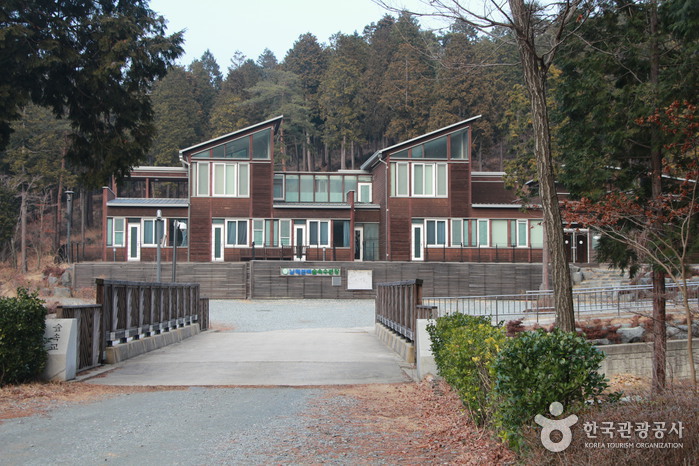 国立南海ヒノキ自然休養林(국립 남해편백자연휴양림) 国立南海ヒノキ自然休養林(국립 남해편백자연휴양림)