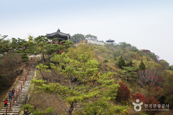 清風文化財団地（청풍문화재단지）