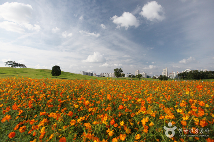 オリンピック公園（올림픽공원）