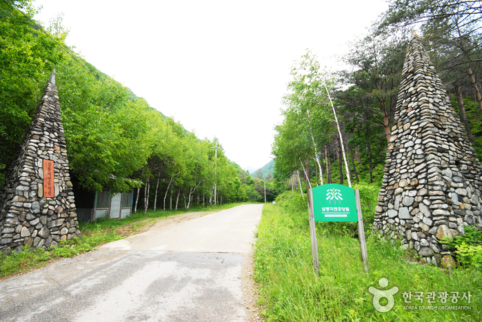 国立三峰自然休養林(국립 삼봉자연휴양림) 国立三峰自然休養林(국립 삼봉자연휴양림)