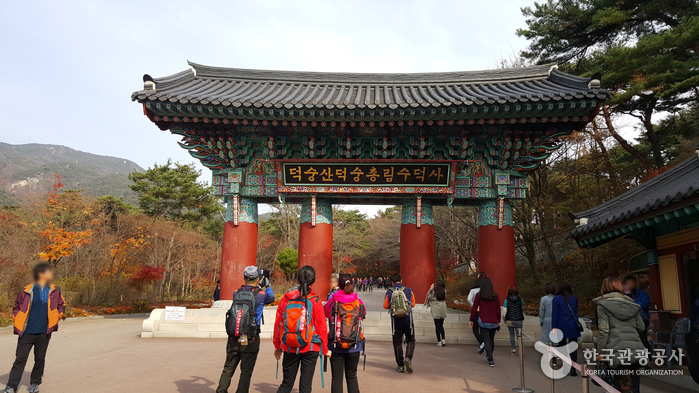 徳崇山（덕숭산）