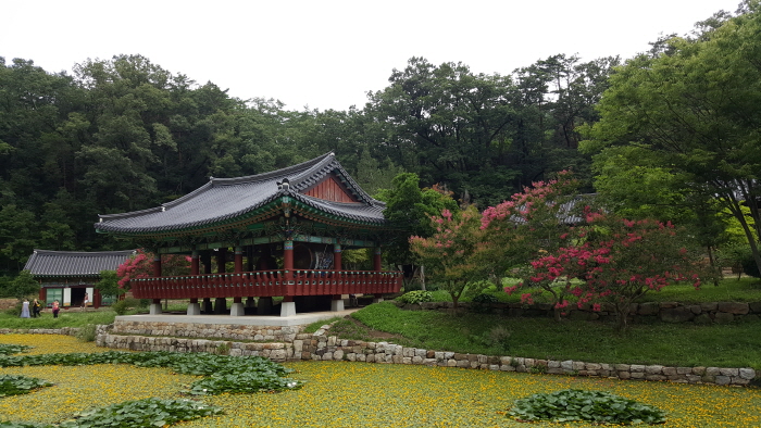 仏影寺（蔚珍）（불영사（울진））