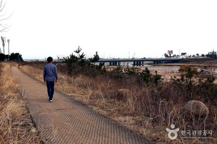 双川道（쌍천길）