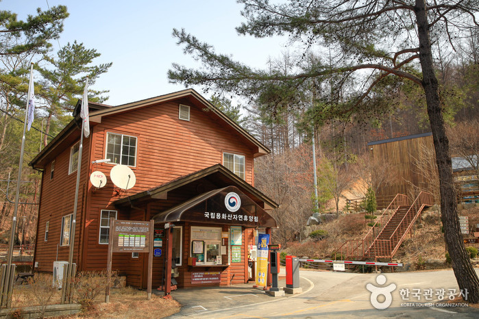 国立龍華山自然休養林(국립 용화산자연휴양림) 国立龍華山自然休養林(국립 용화산자연휴양림)