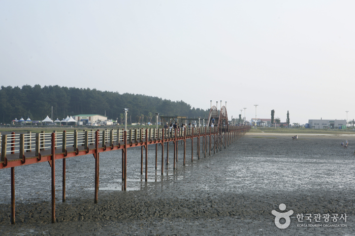 曽島（新安）（증도（신안））