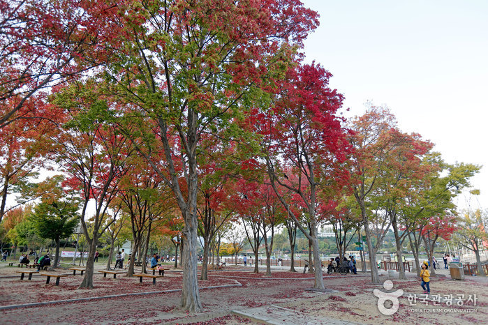 徳津公園(덕진공원) 徳津公園(덕진공원)