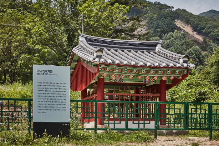 강영천효자문