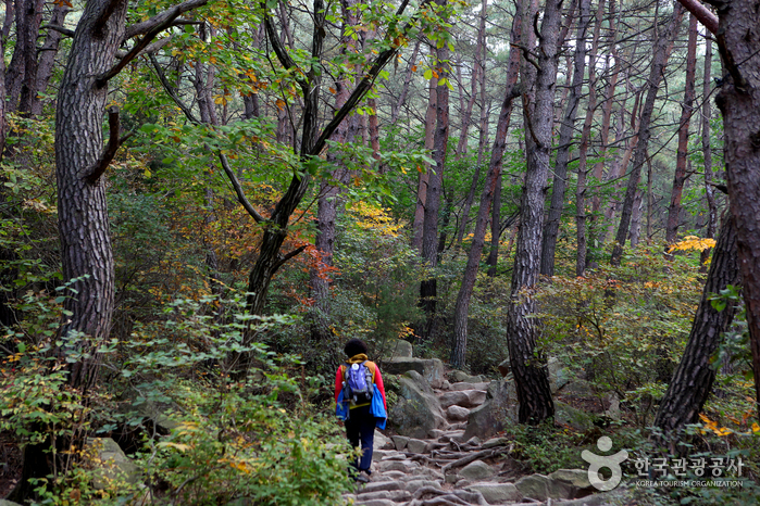 Горы Намсан в Кёнчжу (경주 남산)