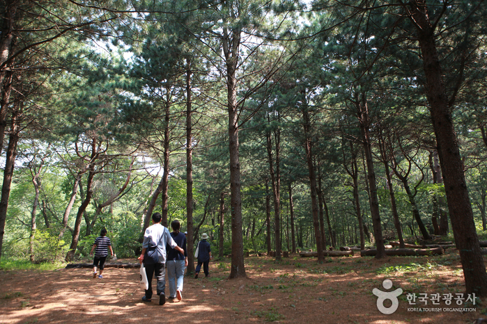 Горы Чхонгесан (청계산)