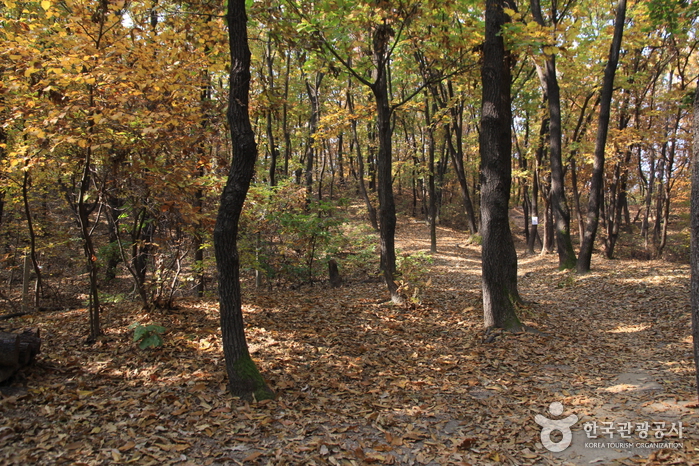 Горы Тобонсан (도봉산)