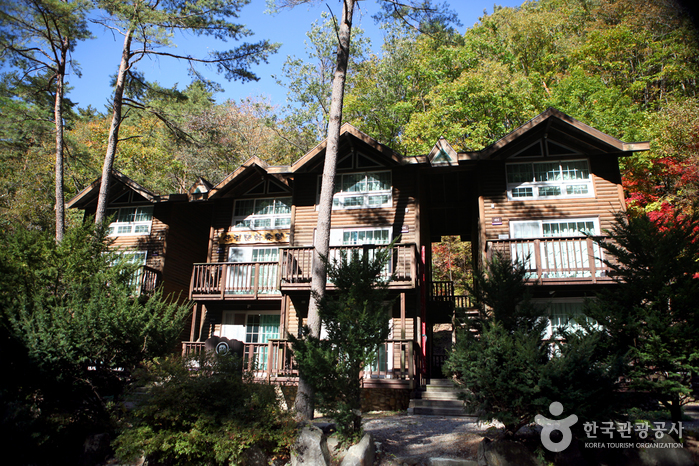 Bosque Recreativo Nacional del Monte Bangtaesan (국립 방태산자연휴양림) Bosque Recreativo Nacional del Monte Bangtaesan (국립 방태산자연휴양림)