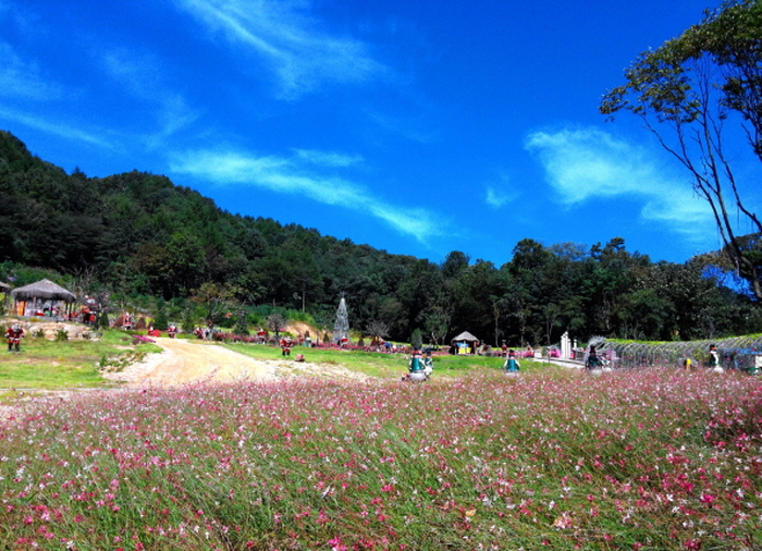 Herb Island de Pocheon (포천 허브아일랜드) Herb Island de Pocheon (포천 허브아일랜드)