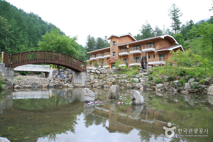 Bosque Recreativo Nacional del Monte Deogyusan (국립 덕유산자연휴양림)