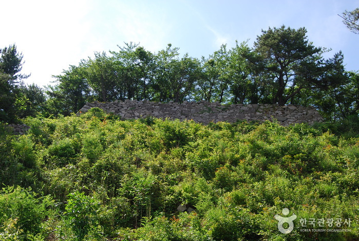 Fortaleza Japonesa Seosaengpo (서생포왜성) Fortaleza Japonesa Seosaengpo (서생포왜성)