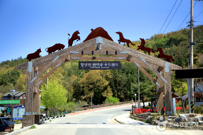 Cypress Forest Woodland (정남진 편백숲 우드랜드)