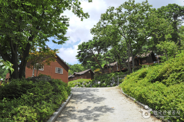 Bosque Recreativo del Monte Yongmunsan (용문산자연휴양림)