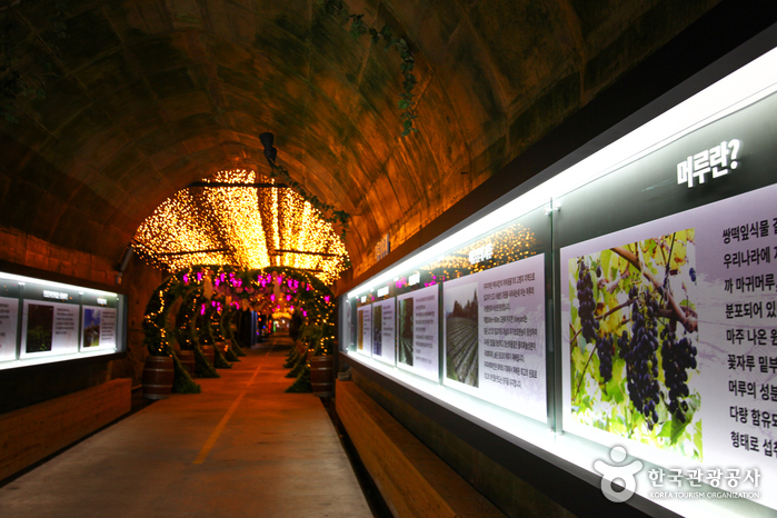 Cueva del Vino Meoru de Muju (무주머루와인동굴)
