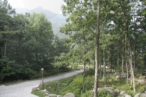 Bosque Recreativo del Monte Biseulsan (비슬산자연휴양림)