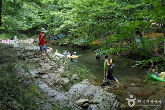 Bosque Recreativo Nami (남이자연휴양림)