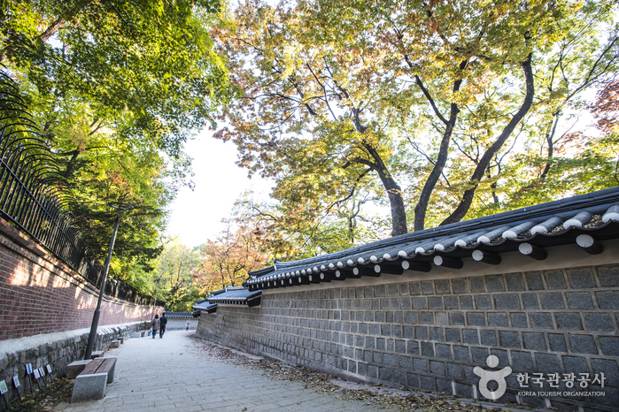 Calle del Muro de Piedra del Palacio Deoksugung (덕수궁 돌담길)