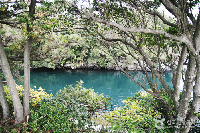 Estuario Soesokkak (쇠소깍) Estuario Soesokkak (쇠소깍)
