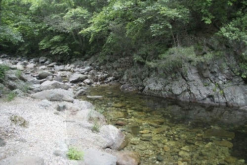 Bosque Recreativo Nacional de Yongdae (국립 용대자연휴양림) Bosque Recreativo Nacional de Yongdae (국립 용대자연휴양림)