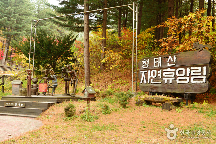 Bosque Recreativo Nacional del Monte Cheongtaesan (국립 청태산자연휴양림) Bosque Recreativo Nacional del Monte Cheongtaesan (국립 청태산자연휴양림)